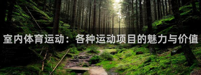 星速体育改名了吗