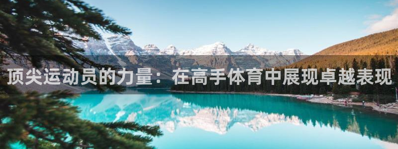 星速体育最新版本