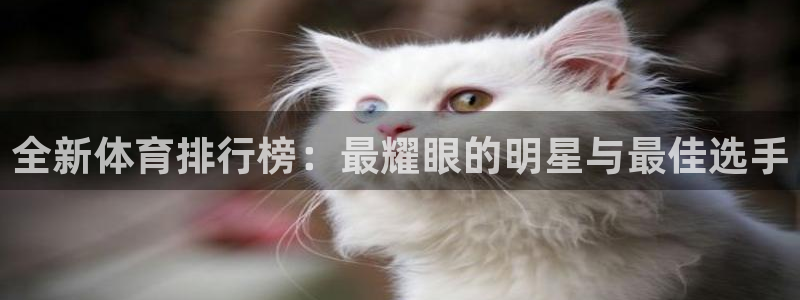 星速体育app下载入口