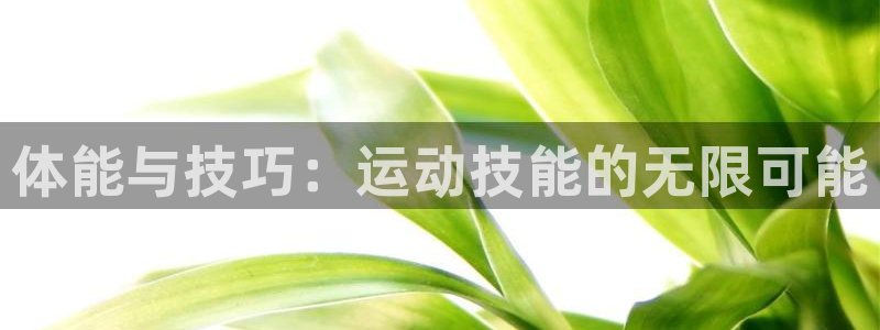 星速体育现在叫什么