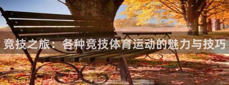 星速体育篮球app下载安装最新版本更新内容：竞技之旅：各种竞技体育运动的魅力与技巧