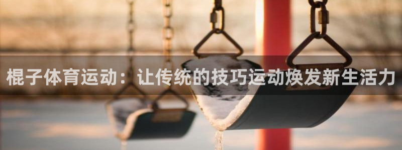 星速体育文化发展有限公司