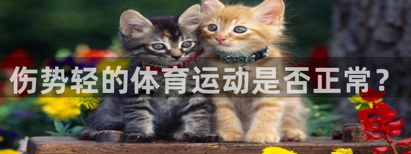 星速体育直播app官方下载