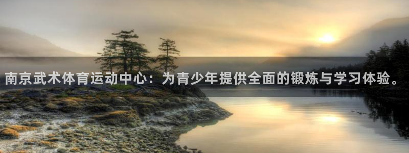 星速体育手机版：南京武术体育运动中心：为青少年提供全面的锻炼与学习体验。